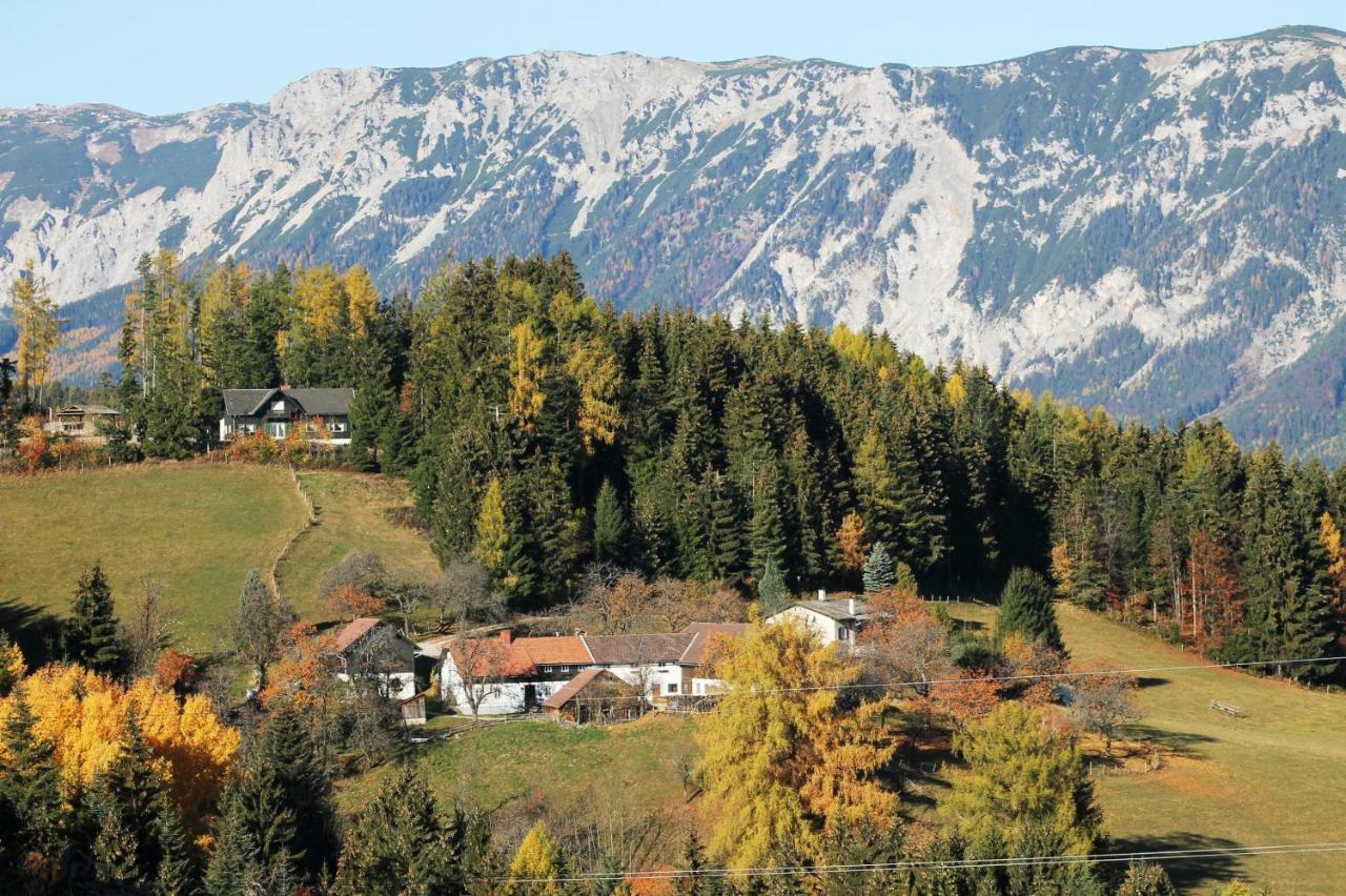 Miniferienwohnung Fuer Unkompliziertes Naturliebhaberpaerchen Payerbach Exterior photo